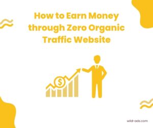 Website Monetization Revenue for Low Traffic Website